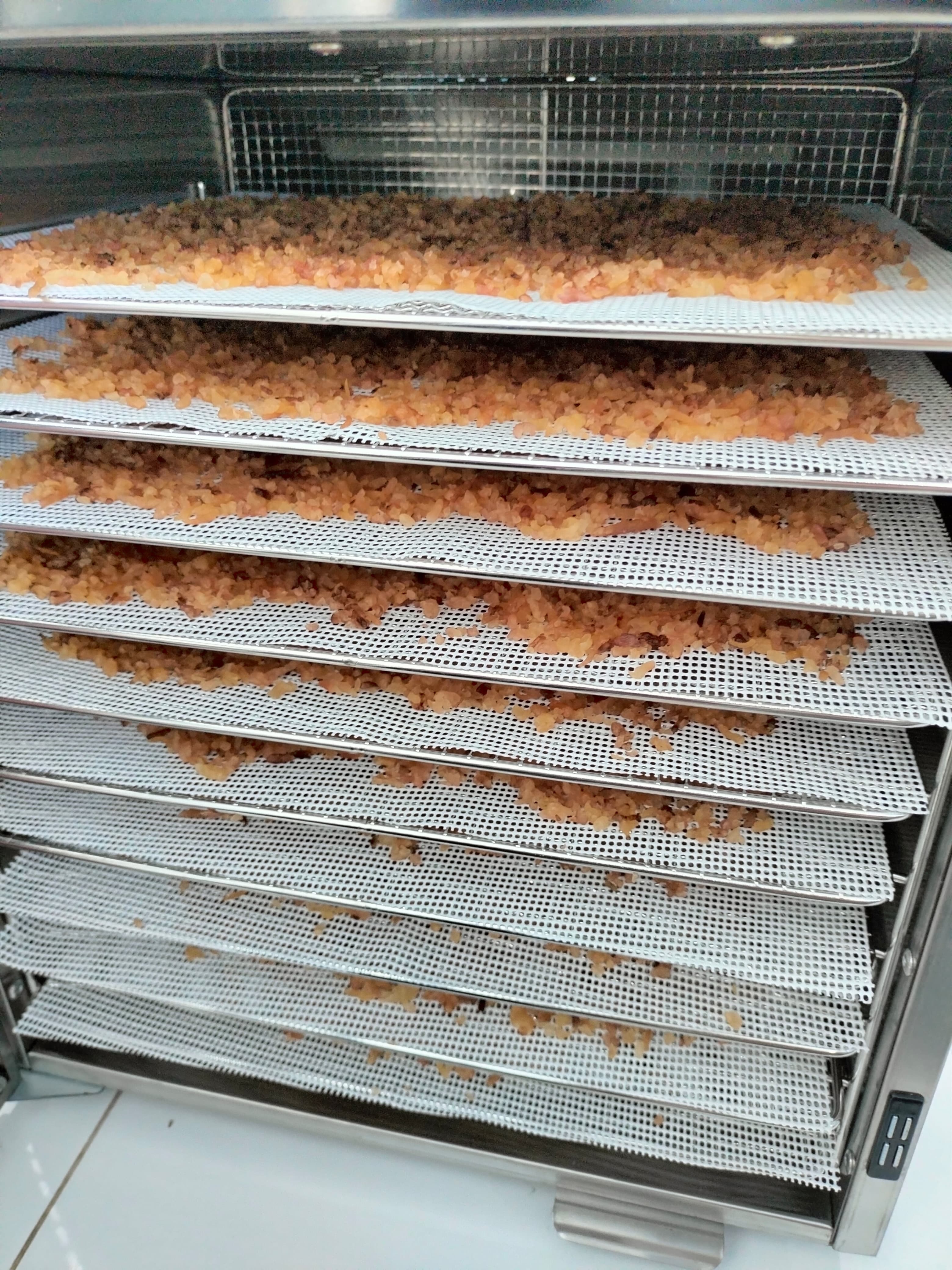 Mesin Pengolahan Rumpul Laut Eucheuma Cottonii Sebagai Teh Kombucha